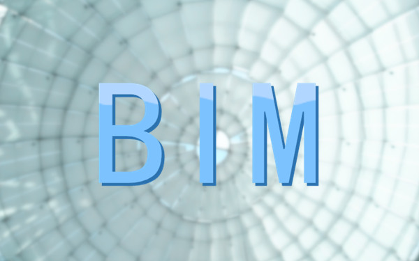 BIM