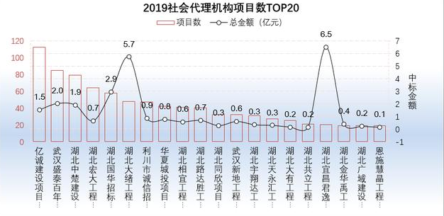 2019社會代理機(jī)構(gòu)項(xiàng)目數(shù)TOP20